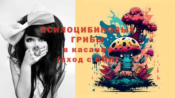 индика Балабаново